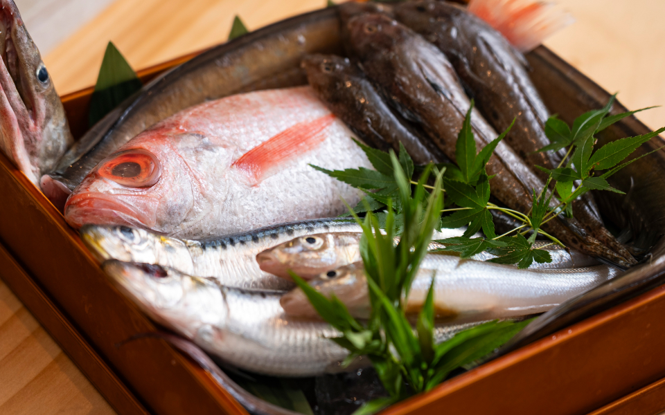 魚